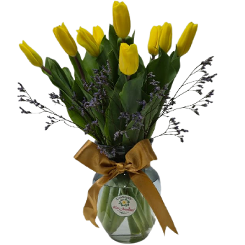 Ilusion de Tulipanes 